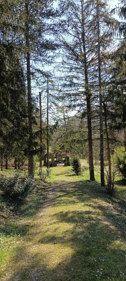 Casale La Pineta Apartment Mombaroccio Bagian luar foto