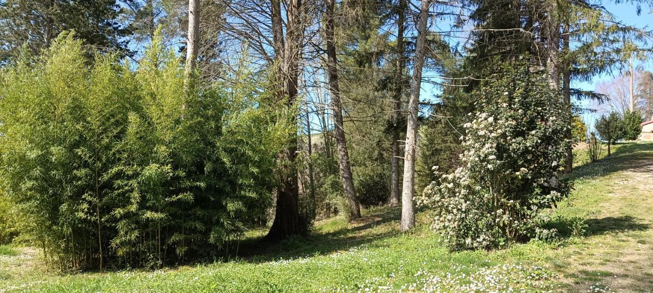 Casale La Pineta Apartment Mombaroccio Bagian luar foto