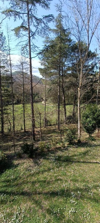 Casale La Pineta Apartment Mombaroccio Bagian luar foto